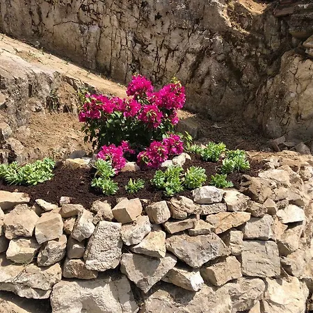 Uliveto Del Mare Отель типа 