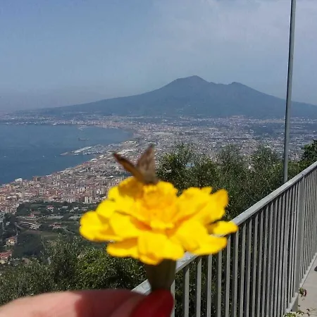 Uliveto Del Mare